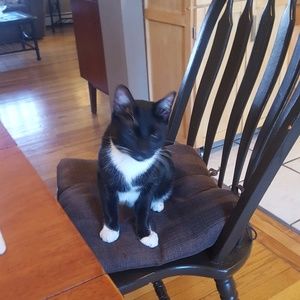 Meet your Posher, Alexandra